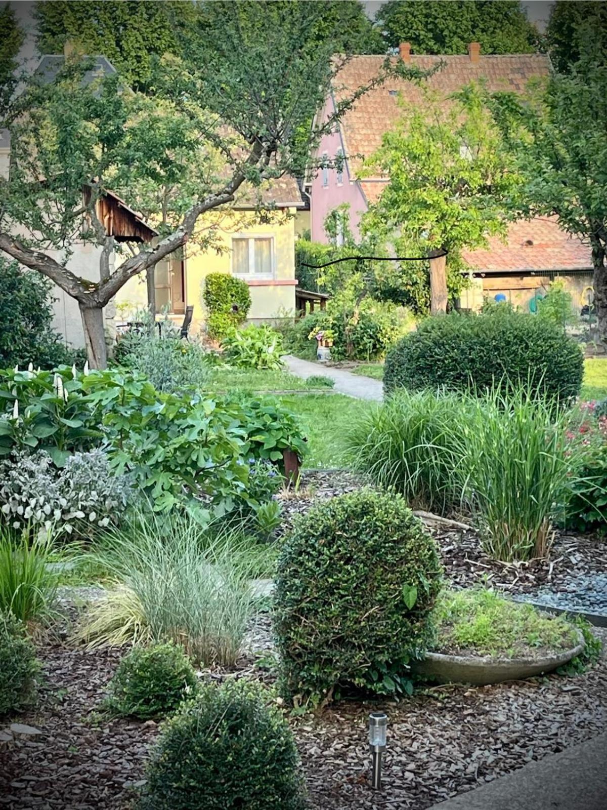 Le Beethoven Villa Колмар Екстериор снимка